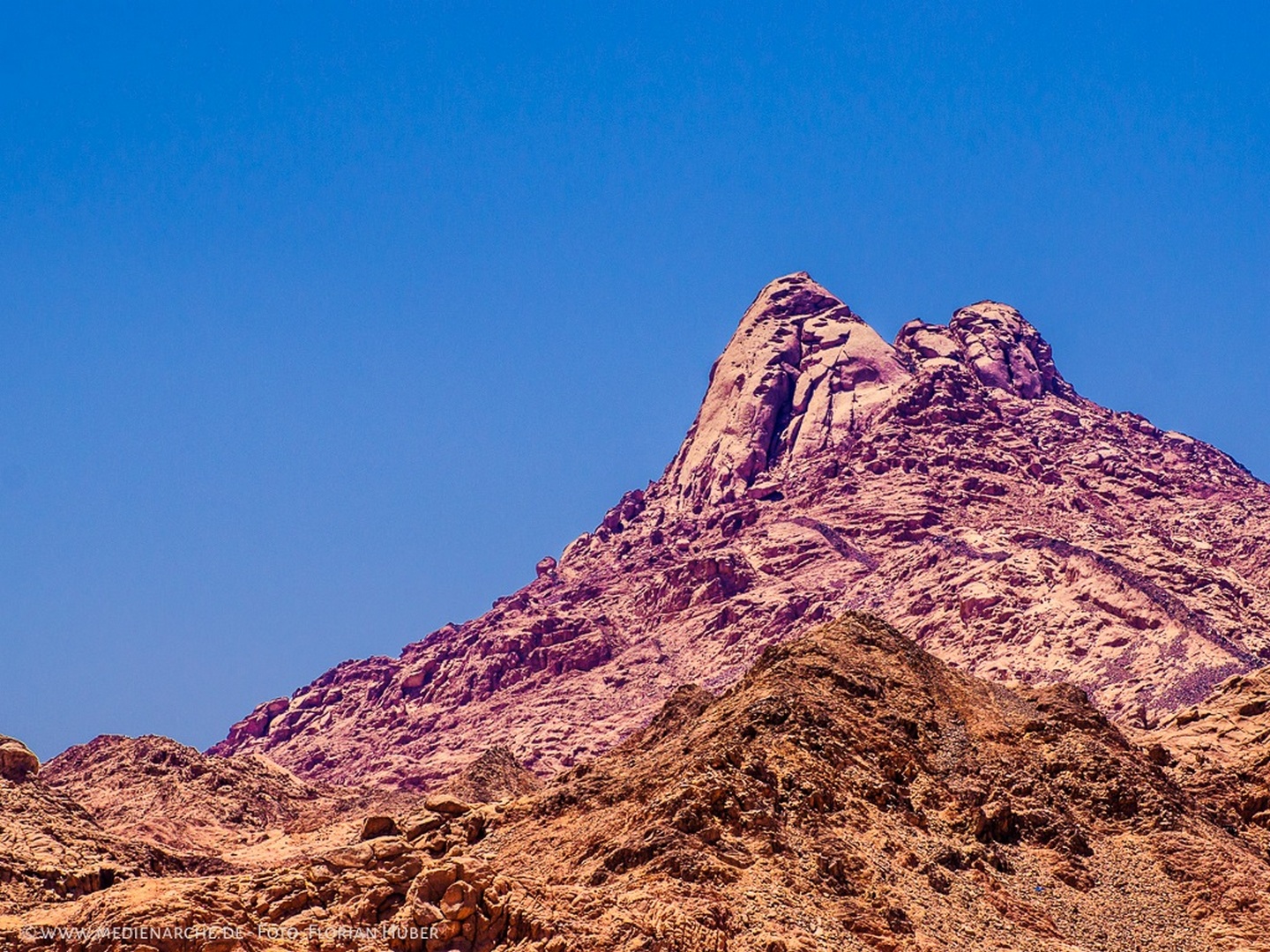 Mehr über den Artikel erfahren März 2023